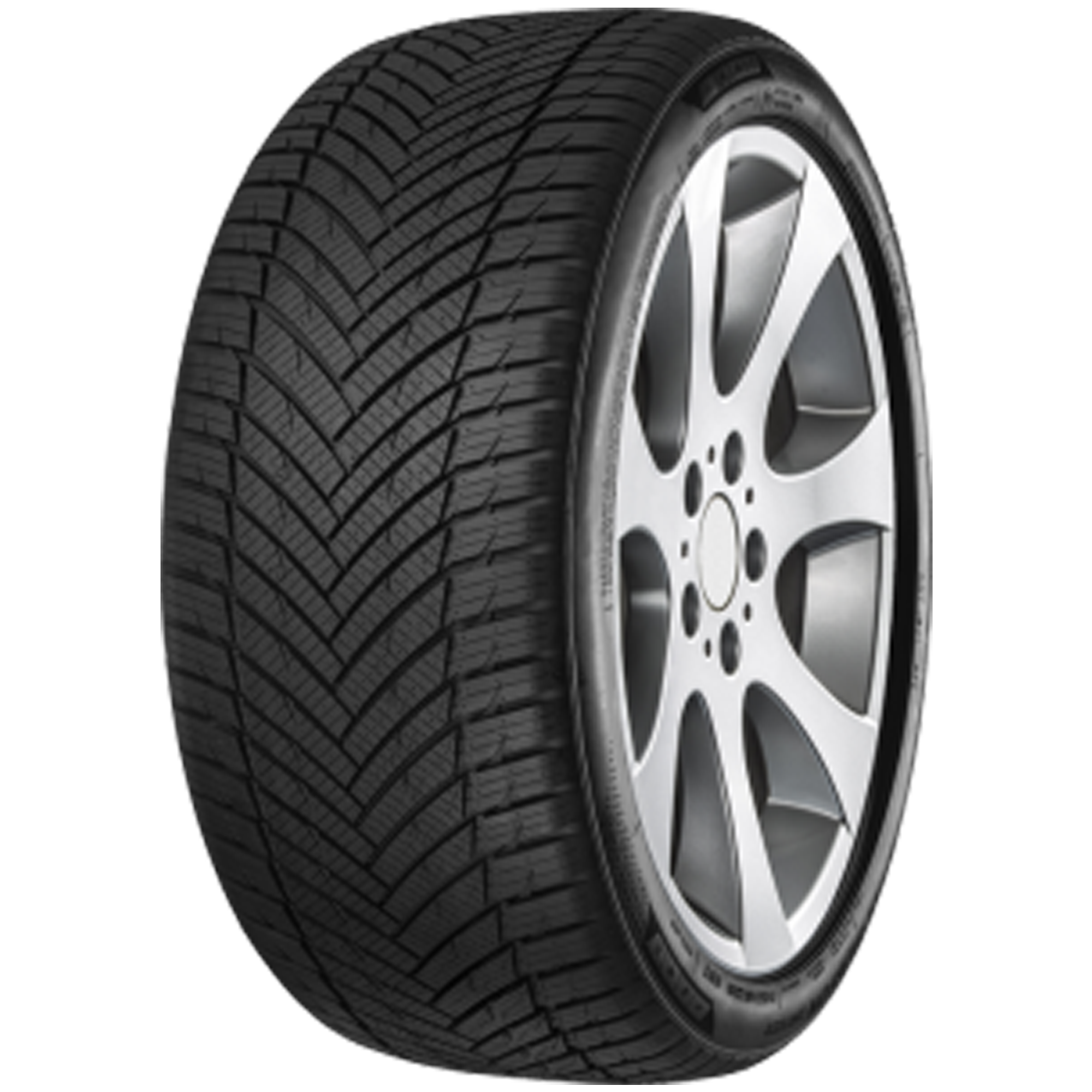 1x Ganzjahresreifen MINERVA AS MASTER 205/45R17 88W XL