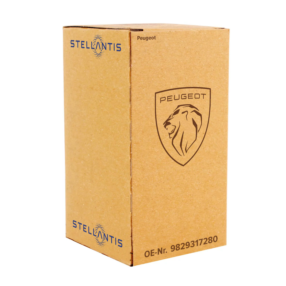 Original Peugeot RUECKLEUCHTE - RUECKLEUCHTEN 9829317280